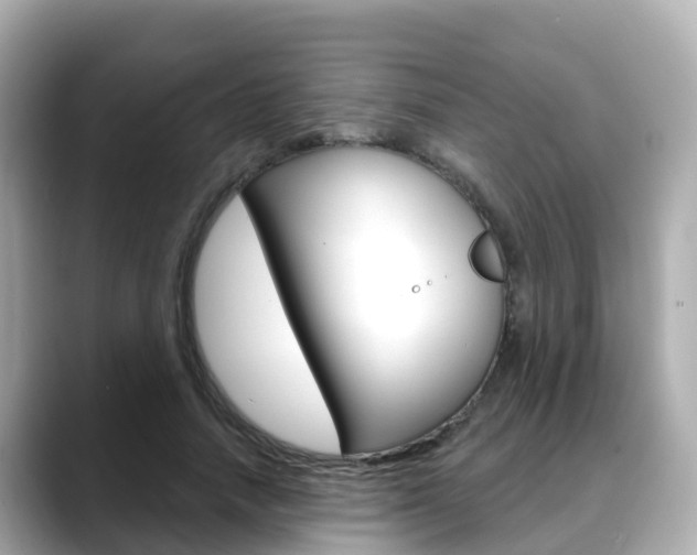 X0000088730738200705311115