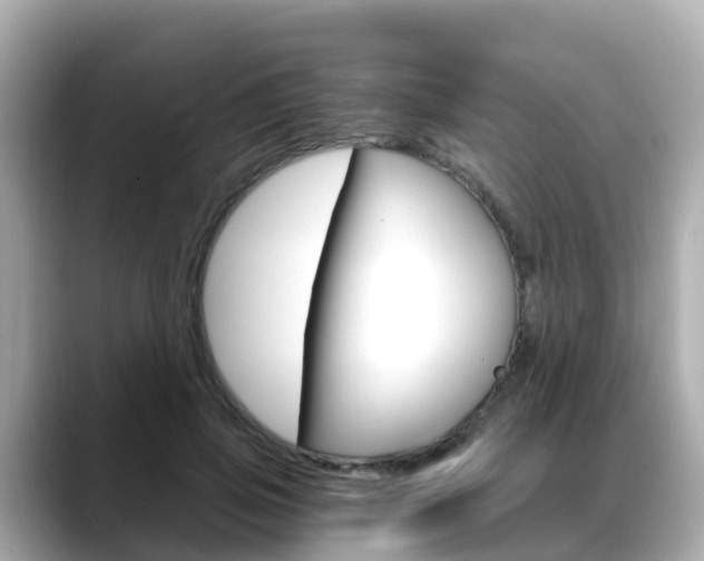 X0000088730741200705311115