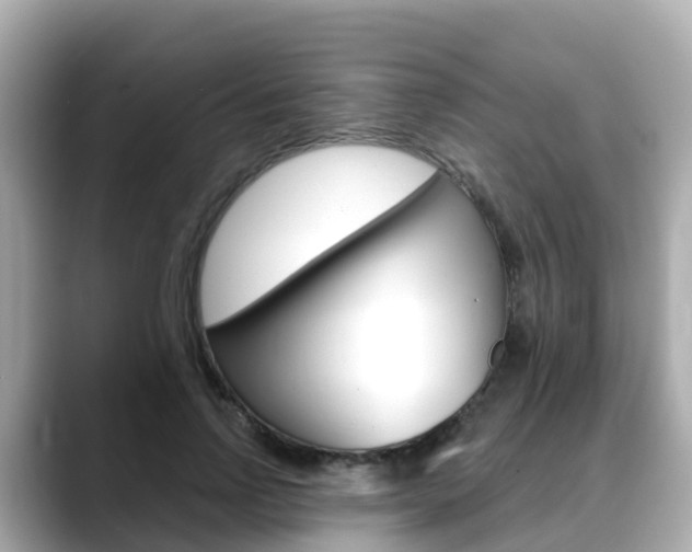 X0000088730742200705311115