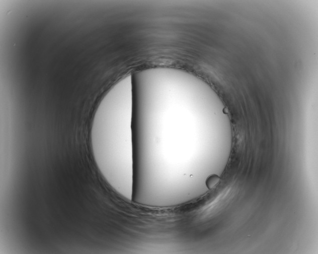 X0000088730745200705311115