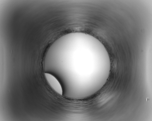 X0000088730746200705311115