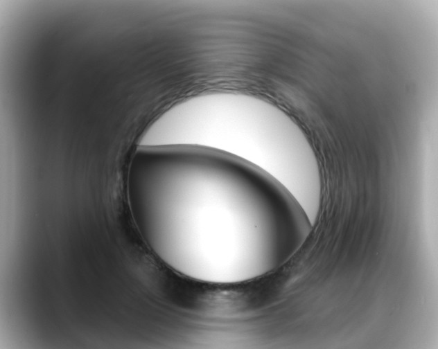 X0000088730748200705311115