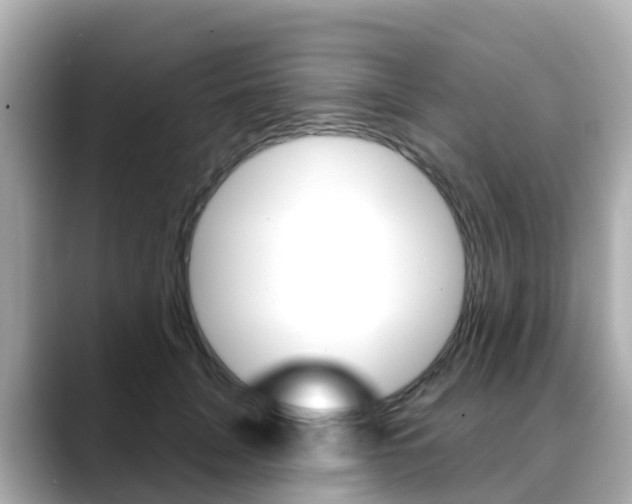 X0000088730751200705311115