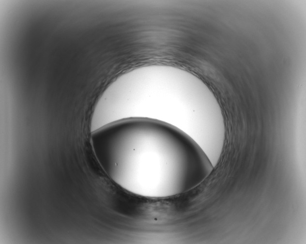 X0000088730752200705311115