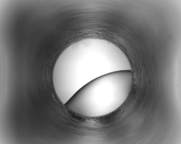 X0000088730753200705311115
