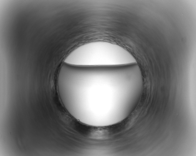X0000088730754200705311115