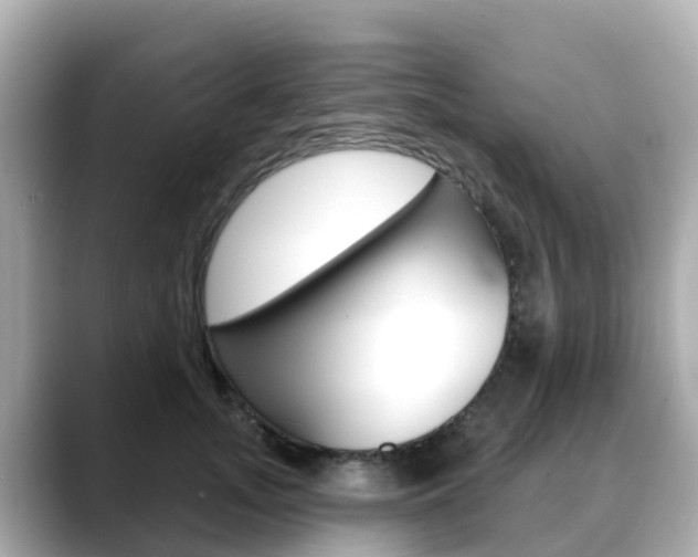 X0000088730755200705311115