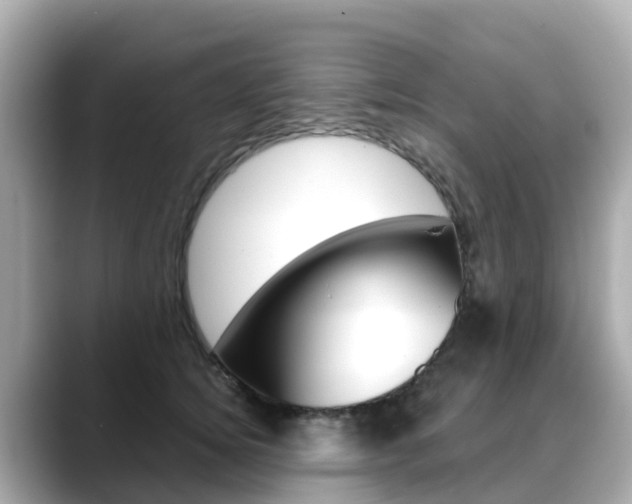 X0000088730756200705311115
