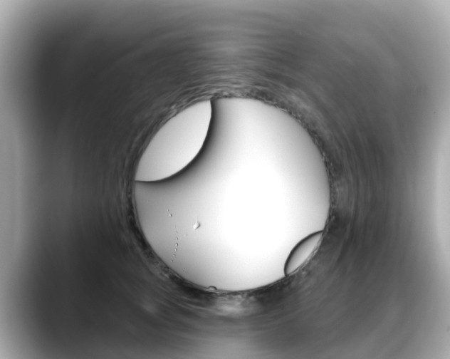 X0000088730757200705311115