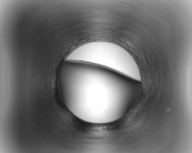 X0000088730760200705311115