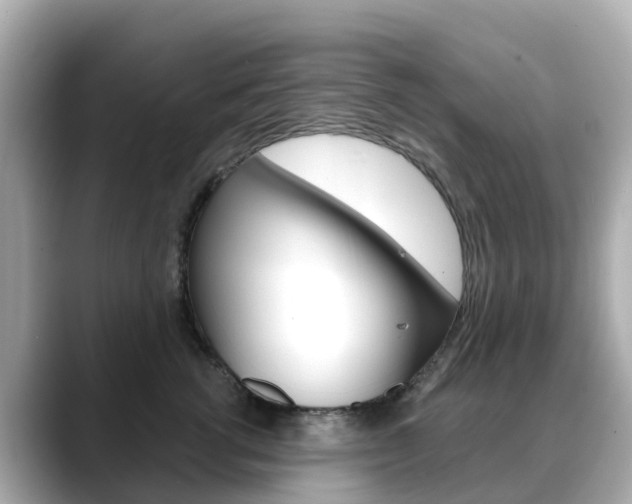 X0000088730762200705311115