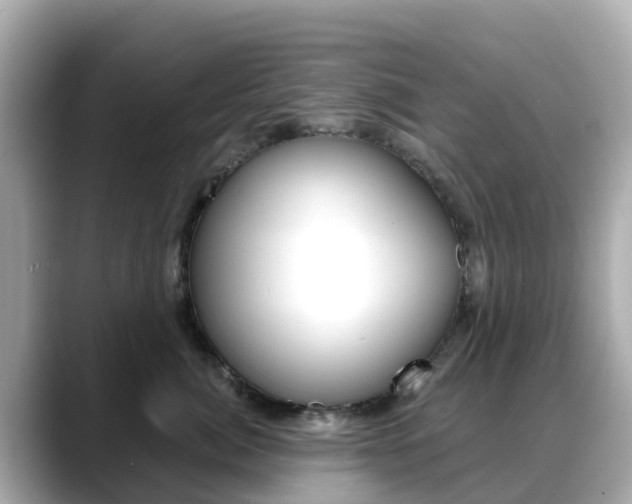 X0000088730764200705311115
