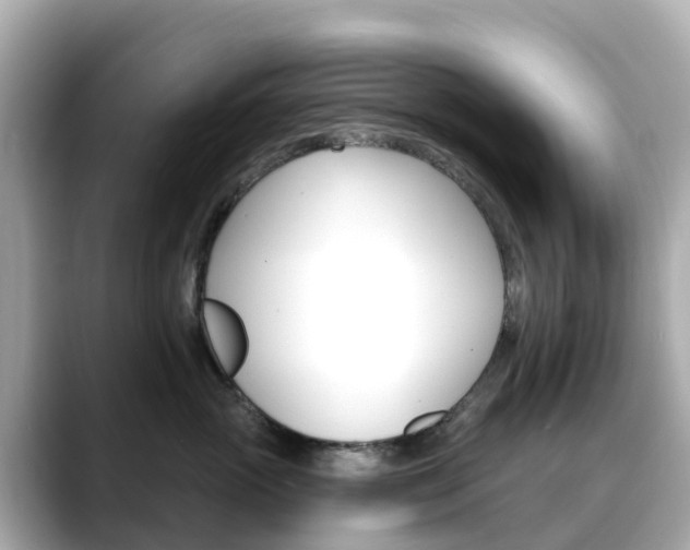 X0000088730765200705311115