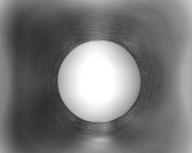 X0000088730768200705311115