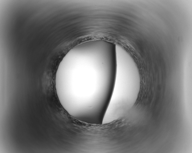 X0000088730773200705311115