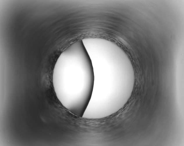X0000088730774200705311115