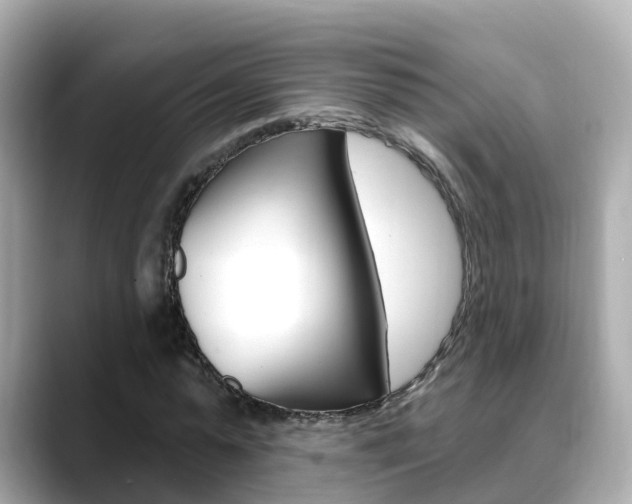 X0000088730775200705311115