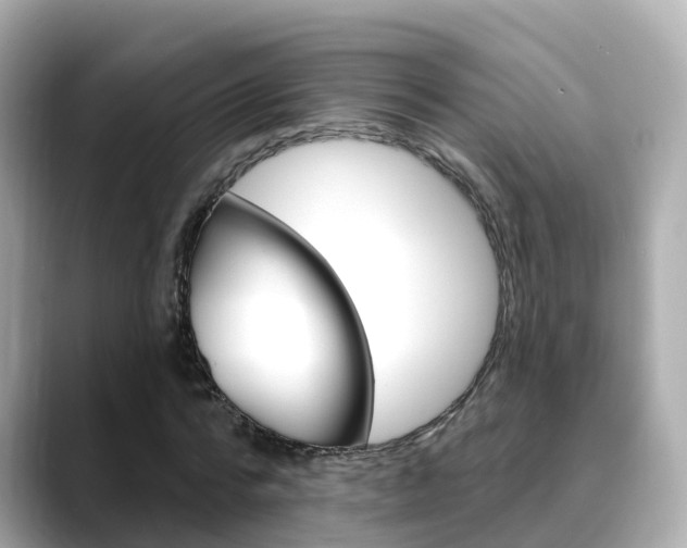 X0000088730776200705311115