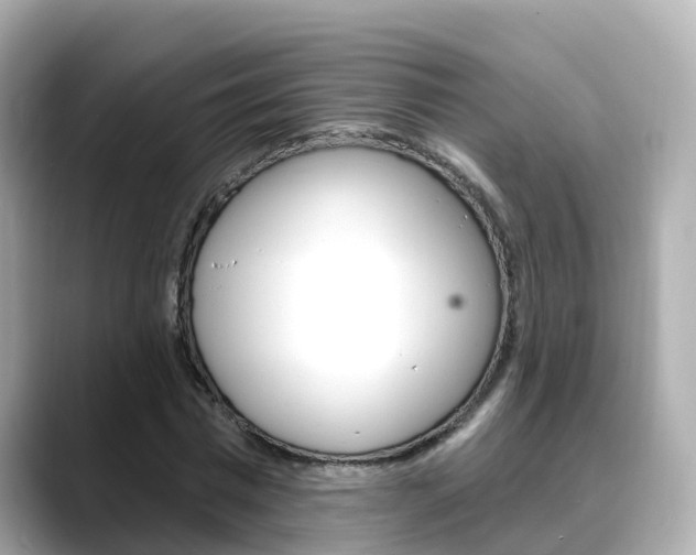 X0000088730777200705311115