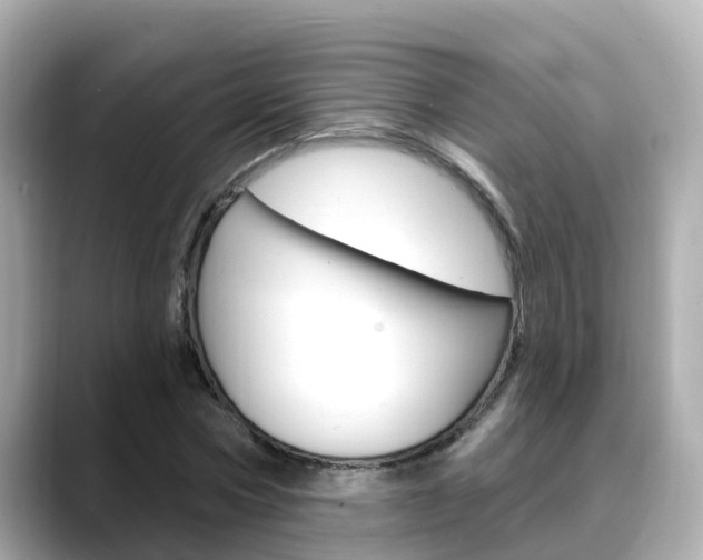 X0000088730778200705311115