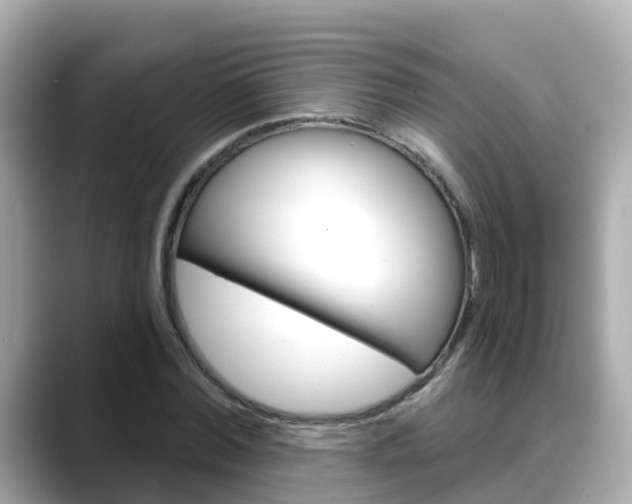 X0000088730780200705311115