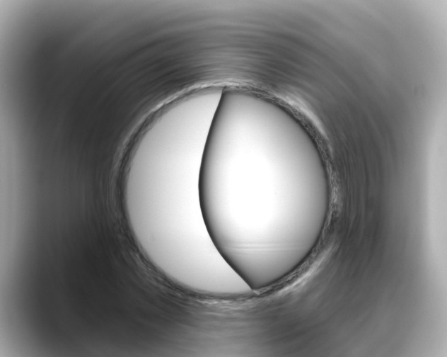 X0000088730781200705311115