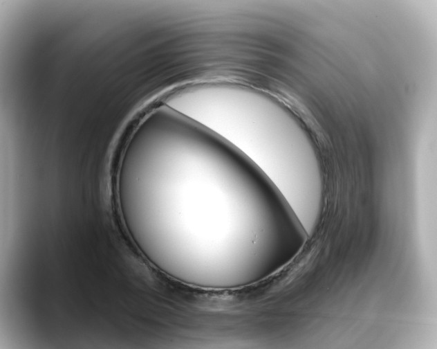 X0000088730784200705311115