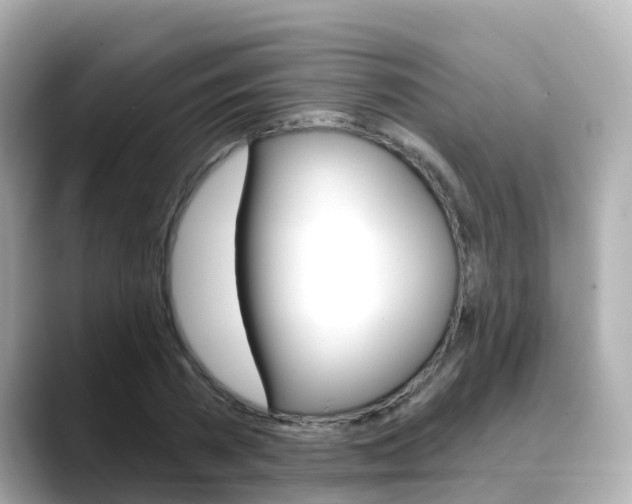 X0000088730785200705311115