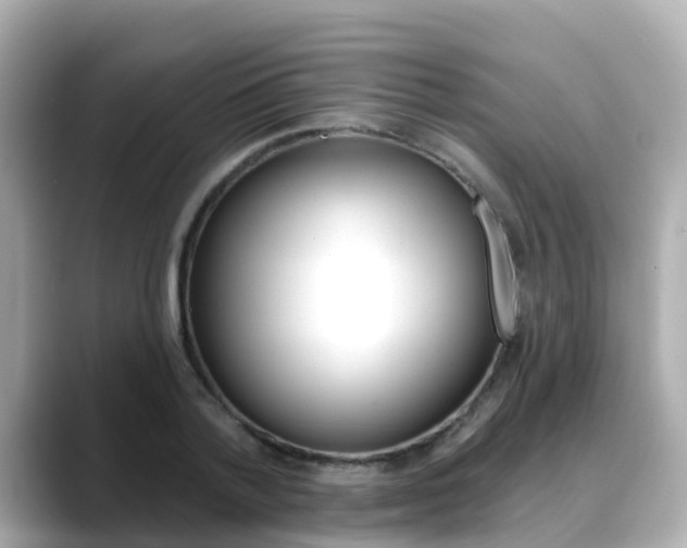 X0000088730788200705311115