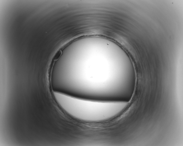 X0000088730789200705311115