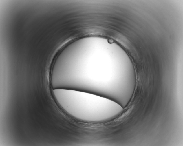 X0000088730790200705311115