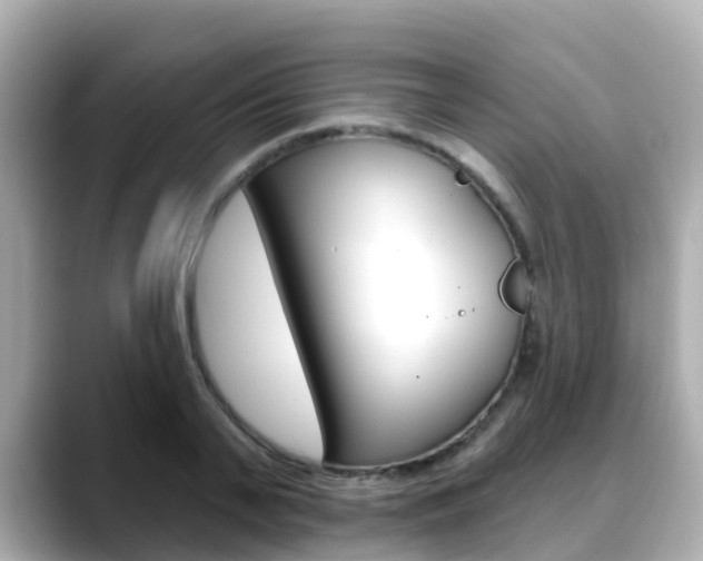 X0000088730791200705311115