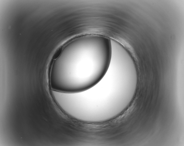 X0000088730792200705311114