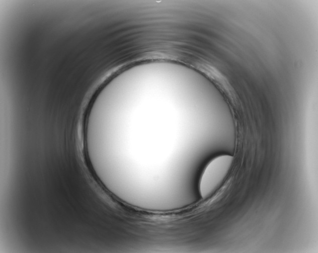 X0000088730796200705311114