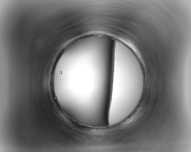 X0000088730799200705311114