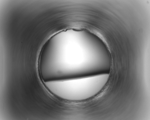 X0000088730803200705311114