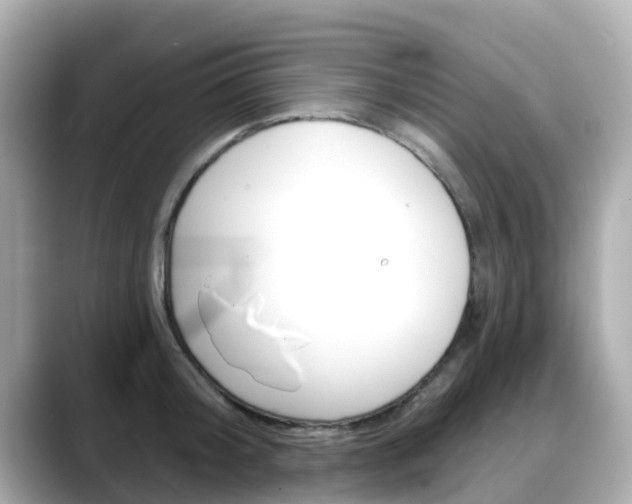 X0000088730804200705311114