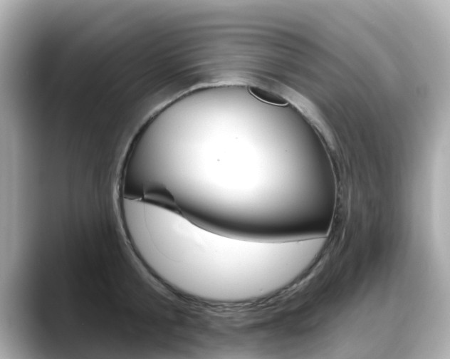 X0000088730805200705311114