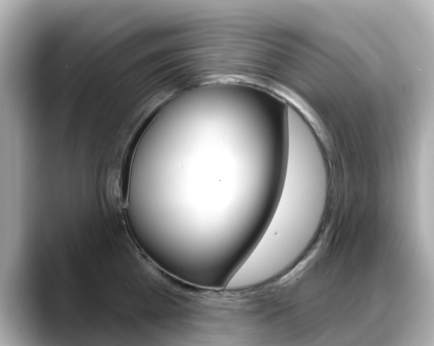 X0000088730809200705311114