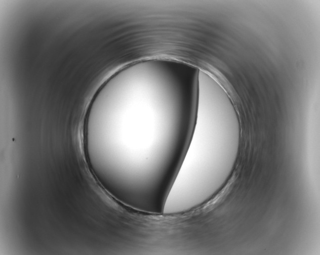 X0000088730812200705311114