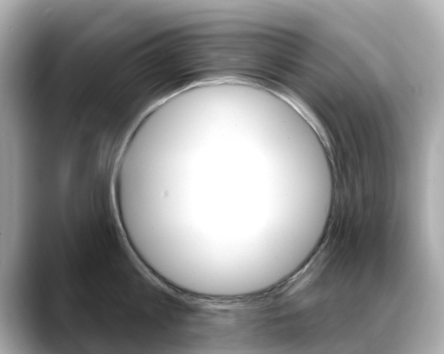 X0000088730813200705311114