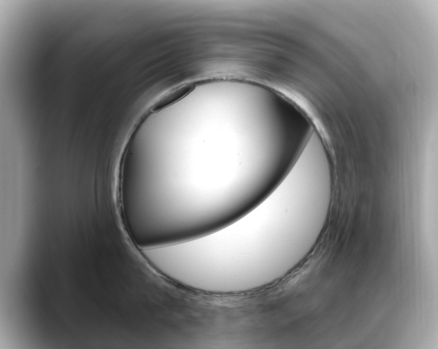 X0000088730815200705311114
