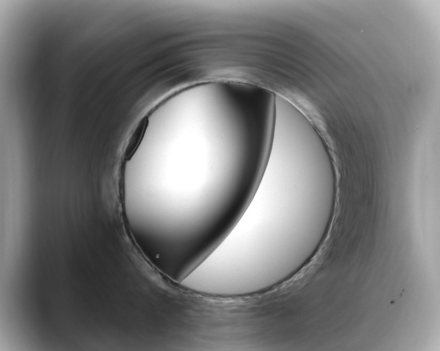 X0000088730816200705311114