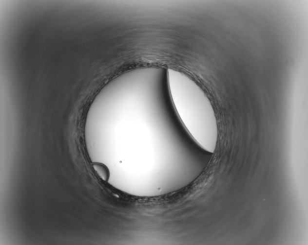 X0000088730817200705311113