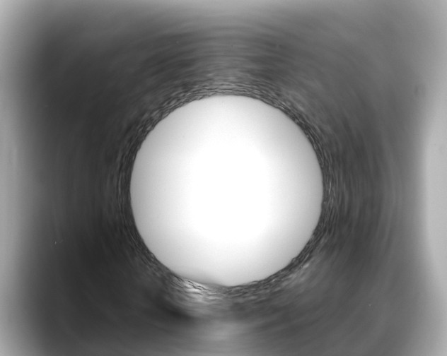 X0000088730818200705311113