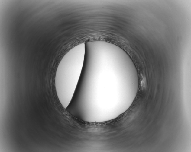 X0000088730819200705311114