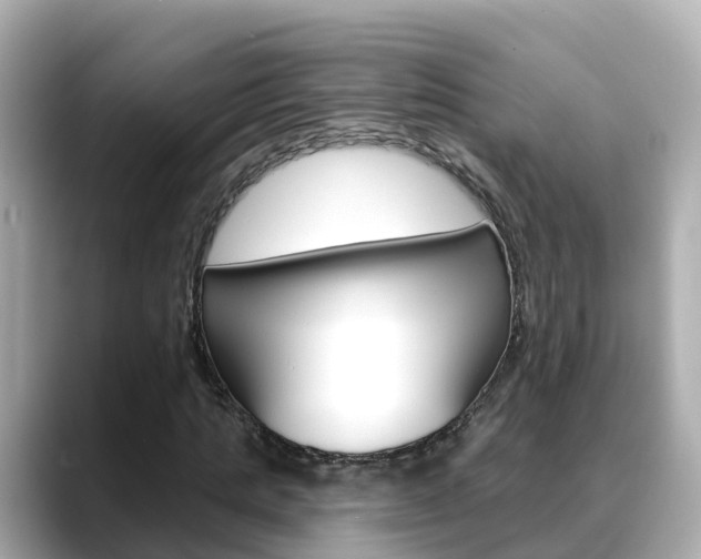 X0000088730821200705311114