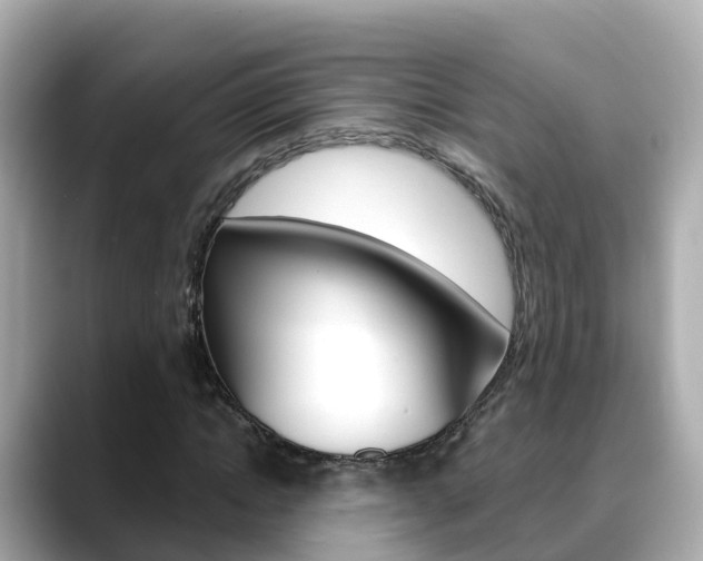 X0000088730822200705311114