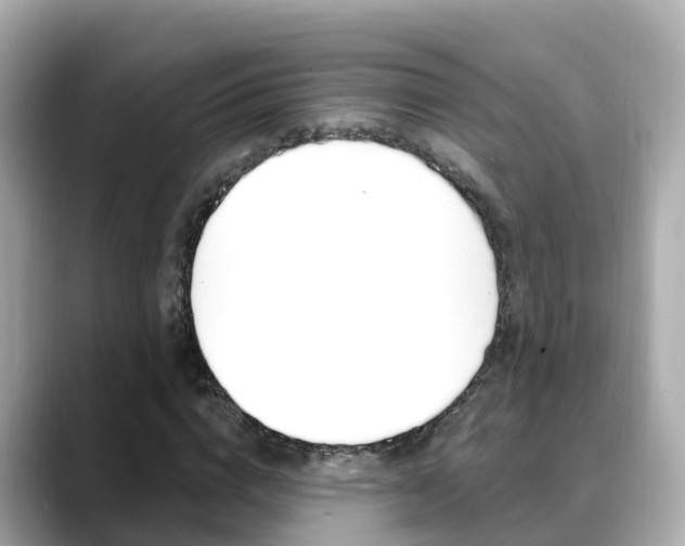 X0000088730824200705311114