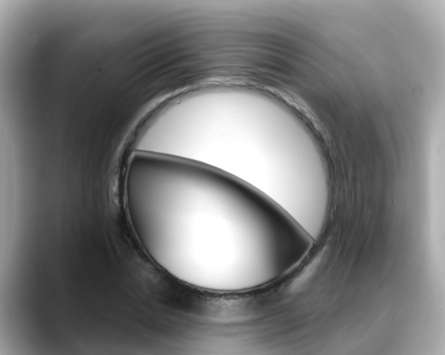 X0000088730830200705311114